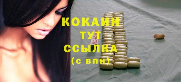сатива Корсаков