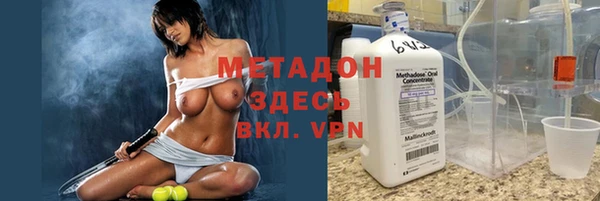 сатива Корсаков