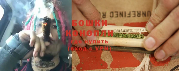 молекула духа Костерёво