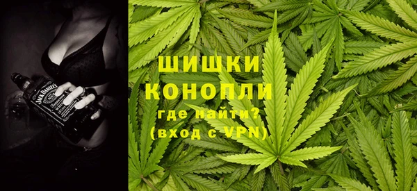 сатива Корсаков