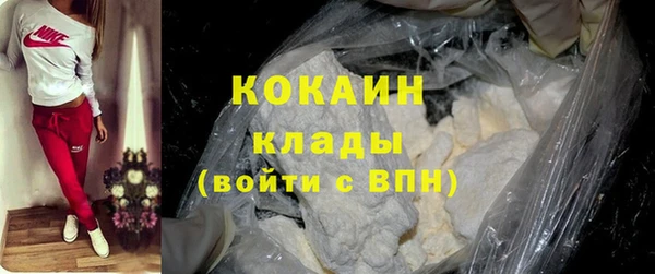 сатива Корсаков